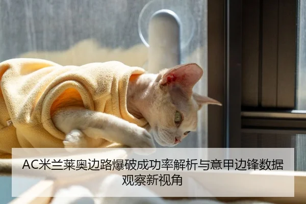 AC米兰莱奥边路爆破成功率解析与意甲边锋数据观察新视角